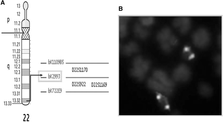 Fig. 3