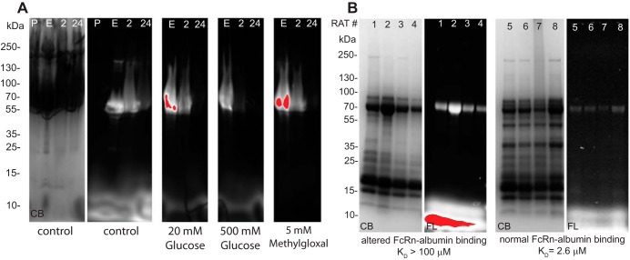 Fig. 11.