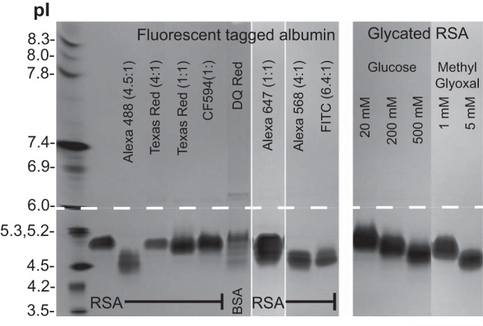 Fig. 9.