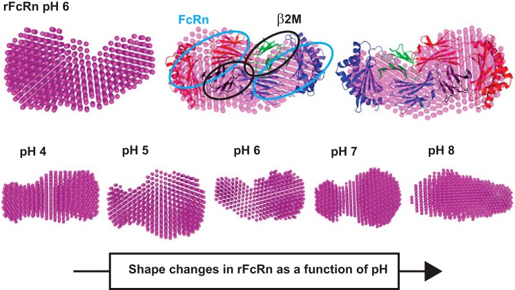 Fig. 8.