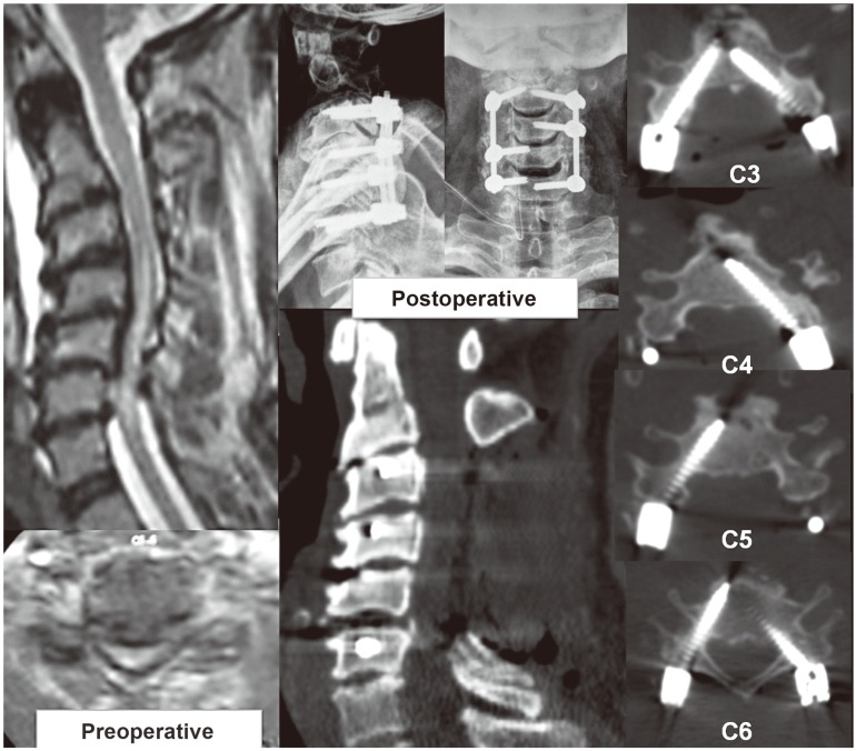 Fig. 7