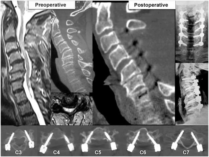 Fig. 8