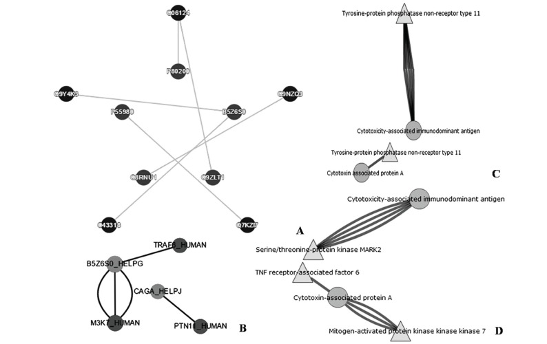 Fig. (7)