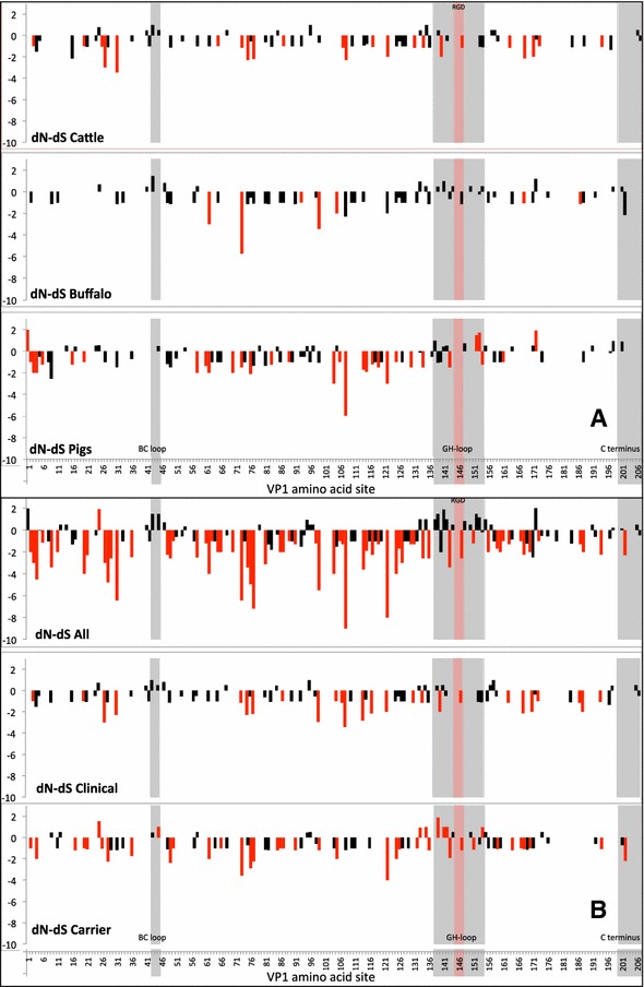 Figure 5