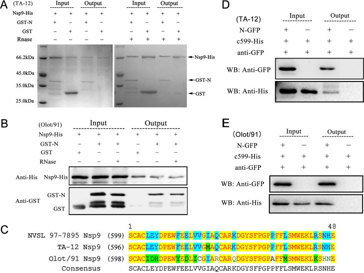 FIG 3