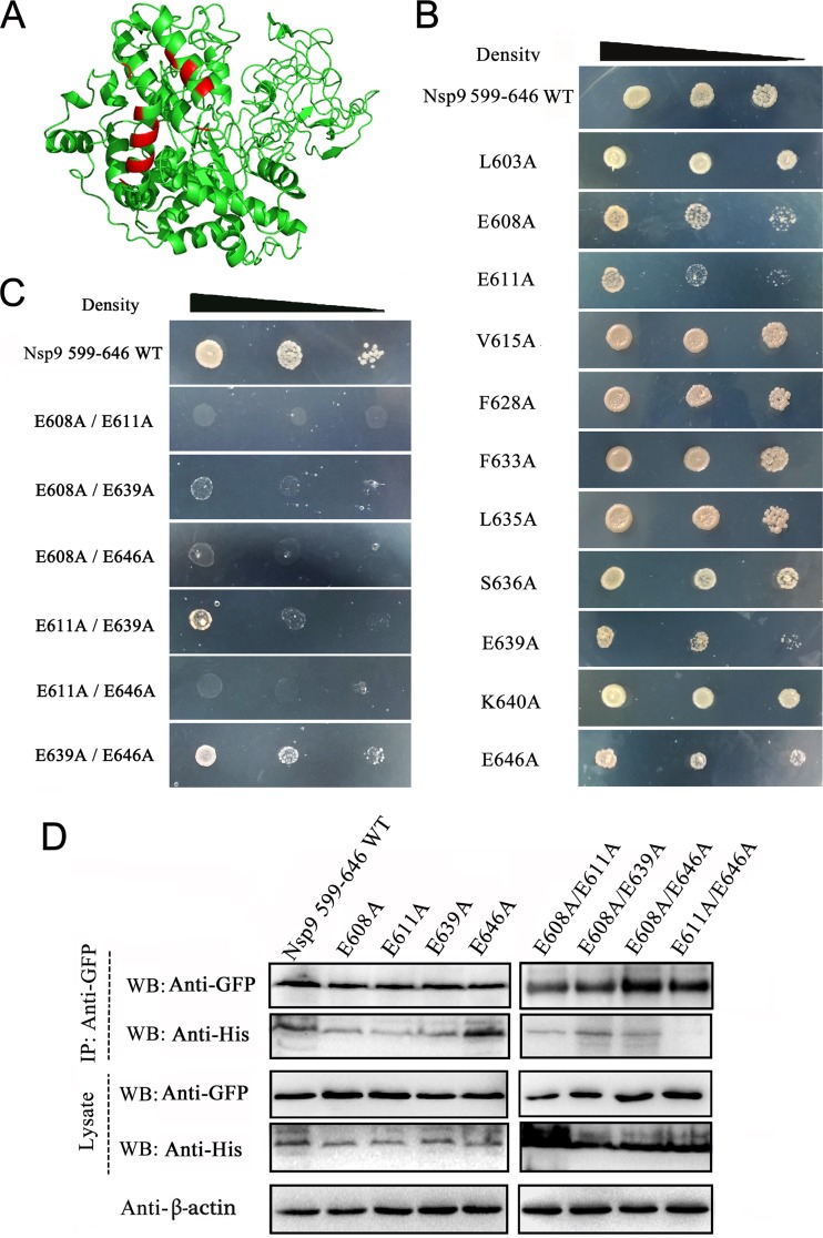 FIG 4