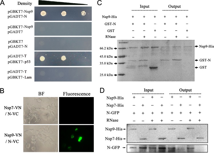 FIG 1