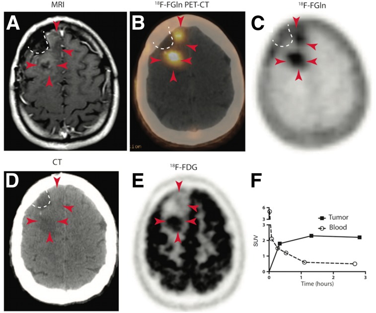 FIGURE 4.