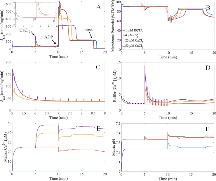 Fig 6