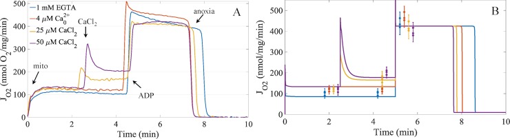 Fig 7