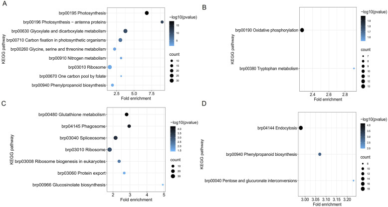 Figure 3