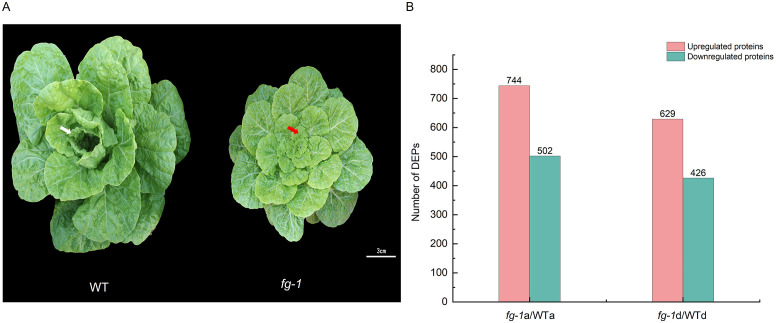 Figure 1