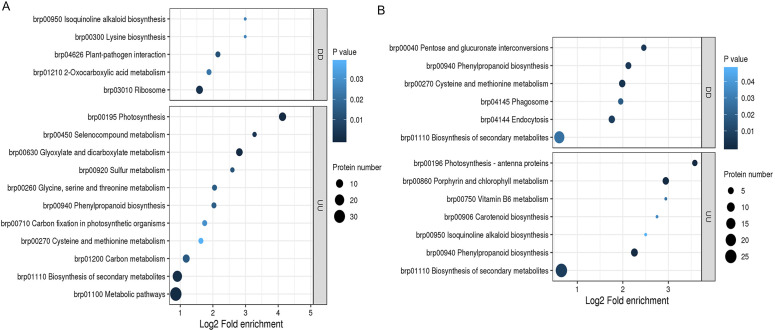 Figure 6