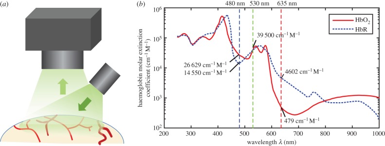 Figure 2.