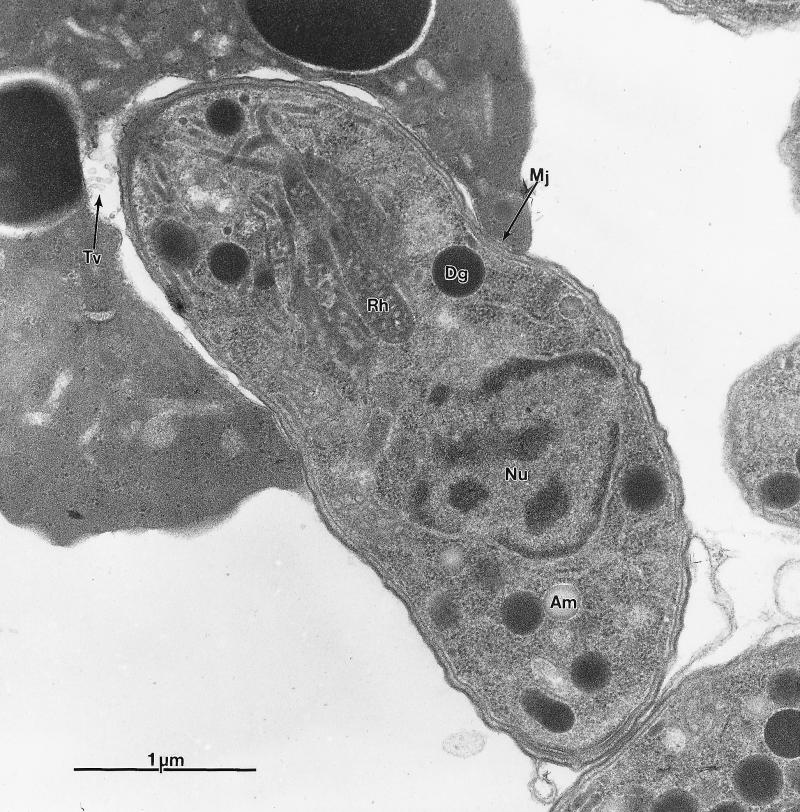FIG. 10