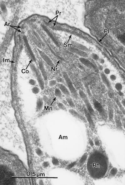 FIG. 16