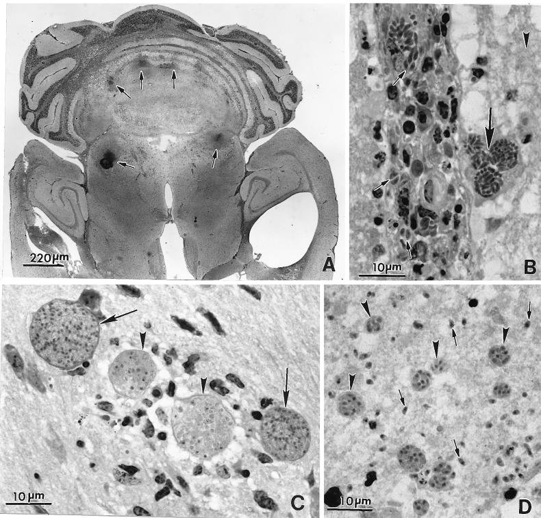 FIG. 29