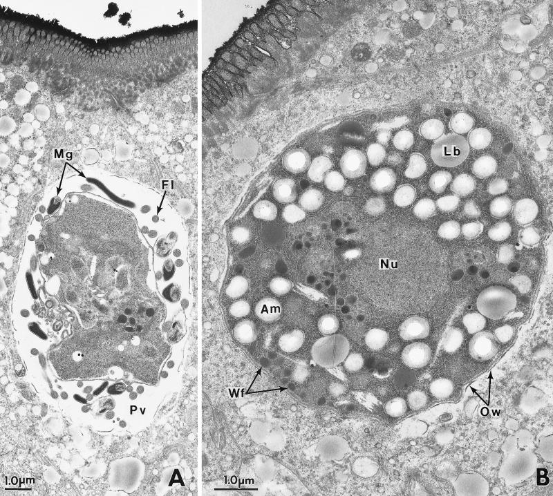 FIG. 20