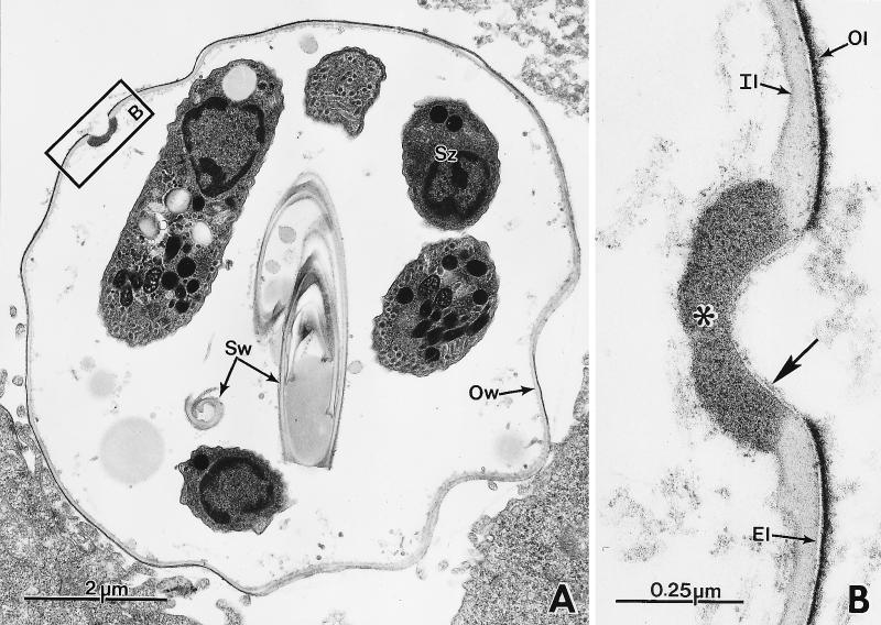 FIG. 23