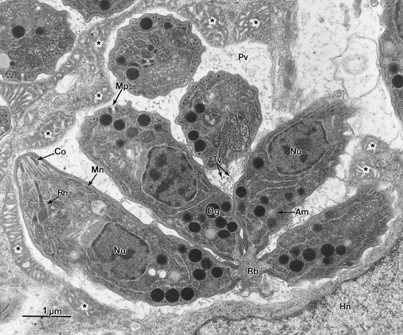 FIG. 8