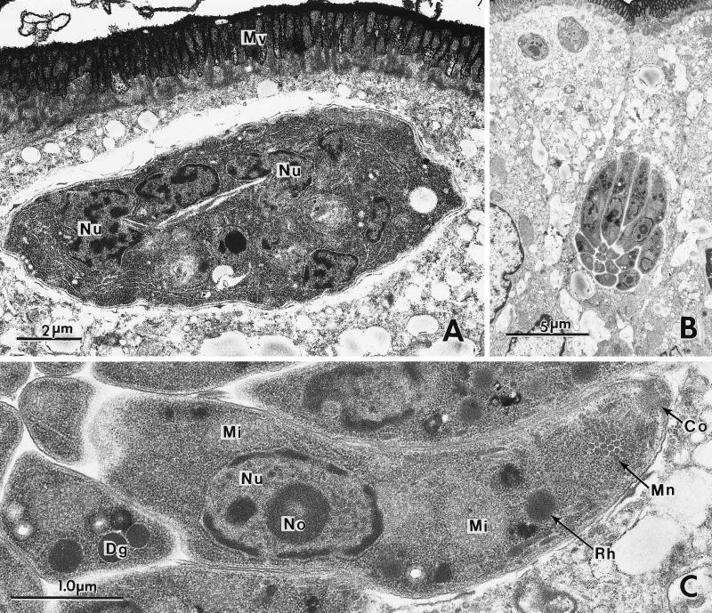 FIG. 19