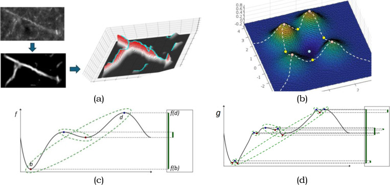 Fig. 2 |