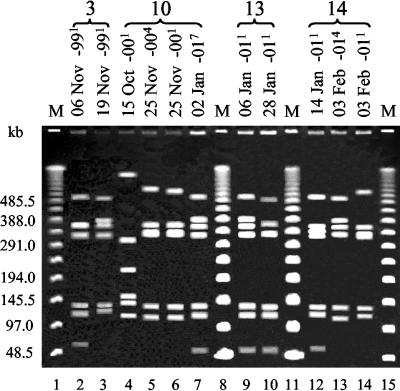 FIG. 2.