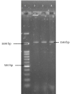 Figure 5.