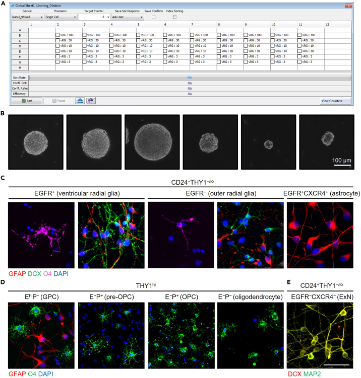 Figure 3