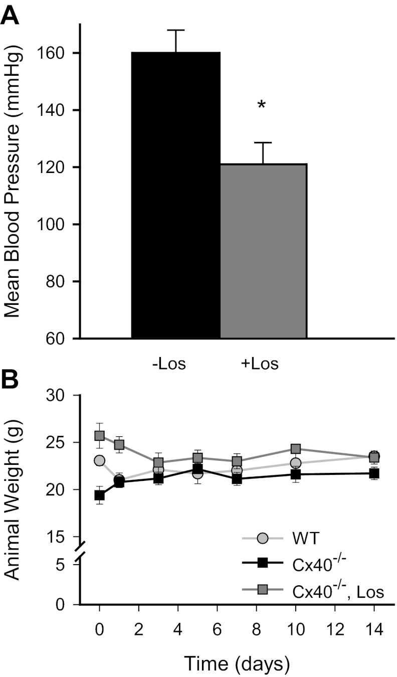 Fig. 8.