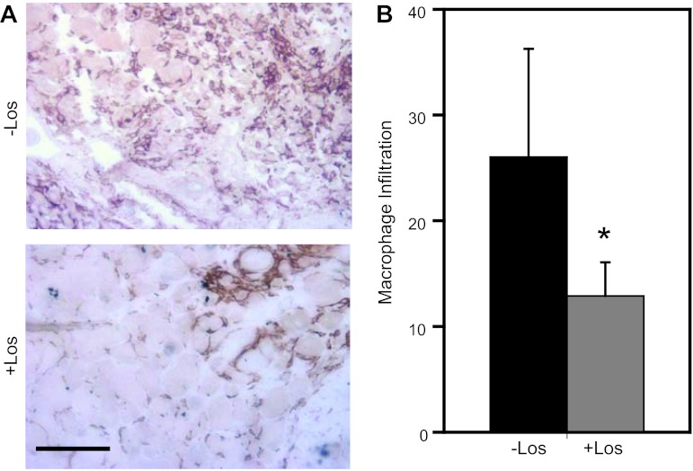 Fig. 9.