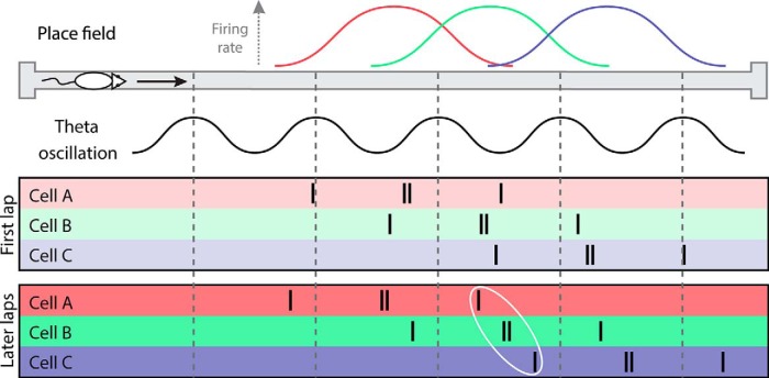 Figure 8.