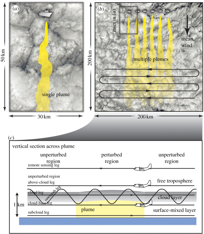 Figure 13.