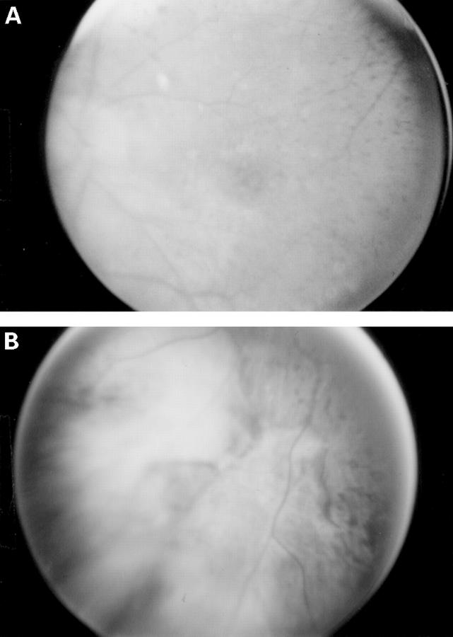 Figure 1  