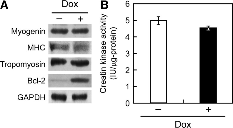 FIG. 5.