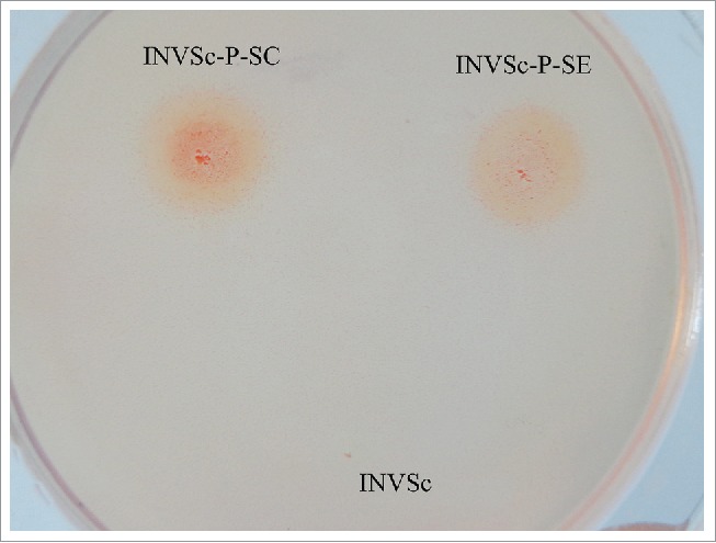 Figure 2.