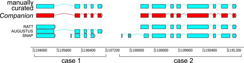 Figure 2.