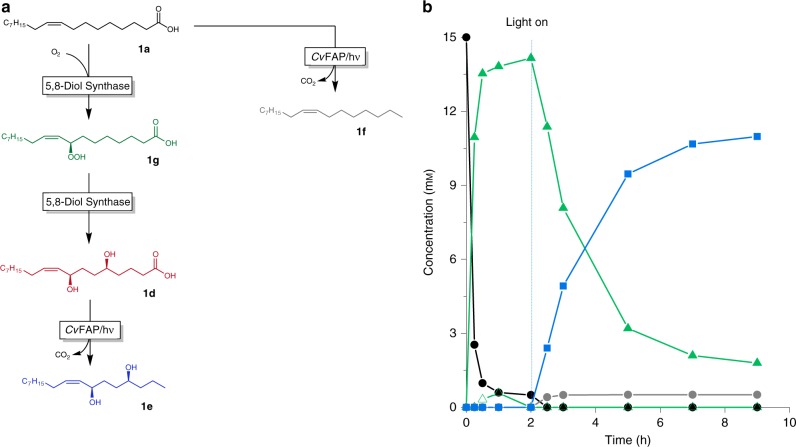 Fig. 7