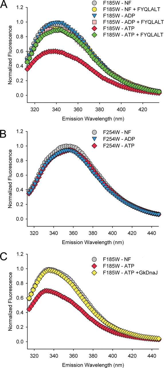 FIGURE 4.