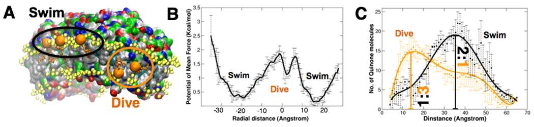 Fig. 4: