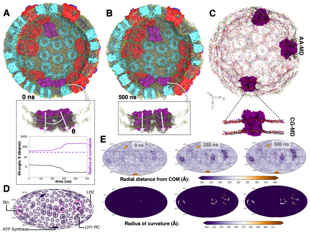 Fig. 2: