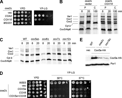 FIG. 9.