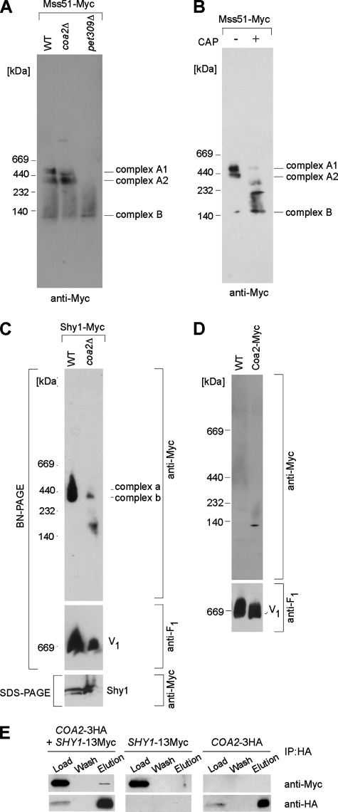 FIG. 7.