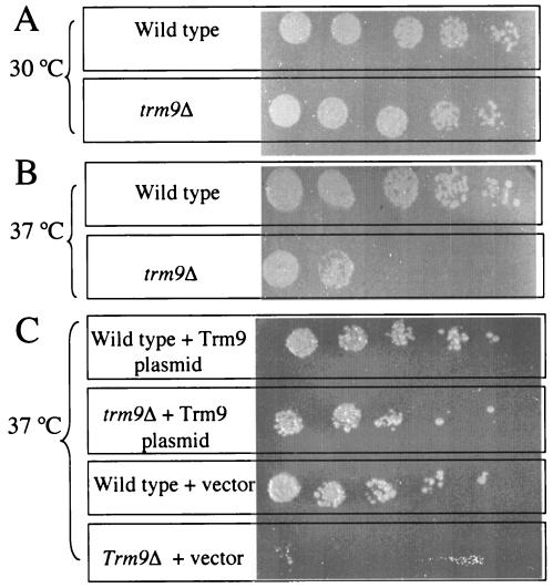 FIG. 9.