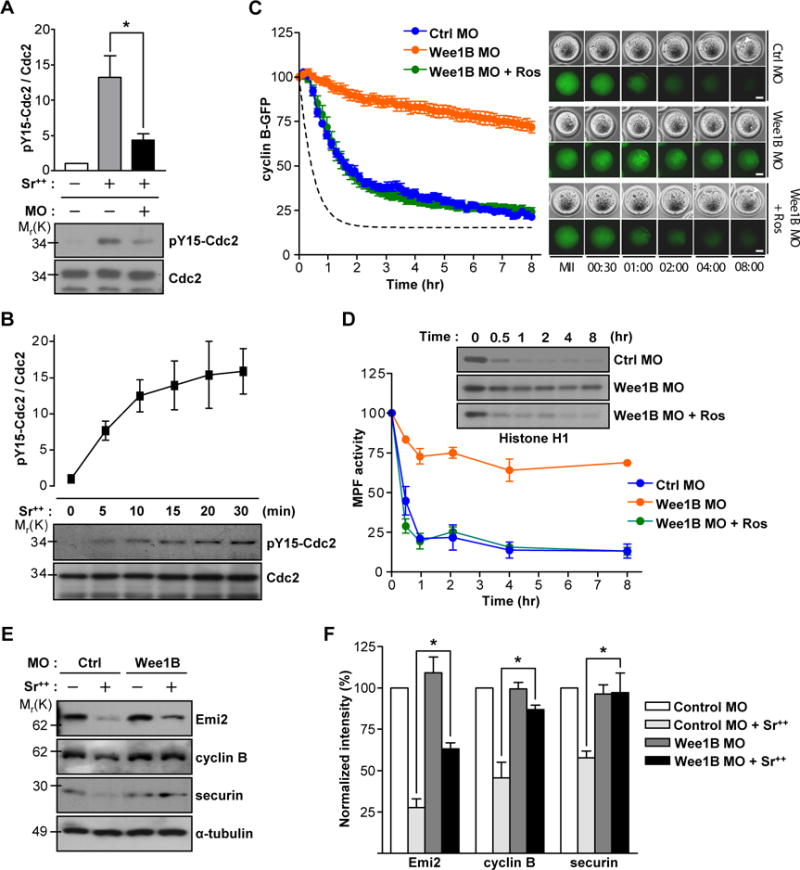 Fig.3