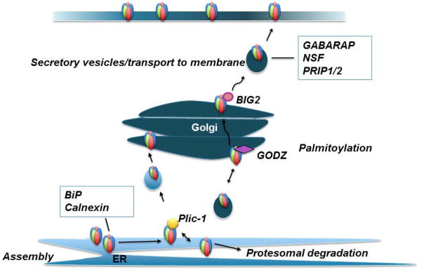 Fig. 2