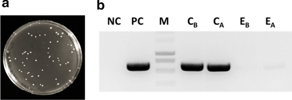 Fig. 6