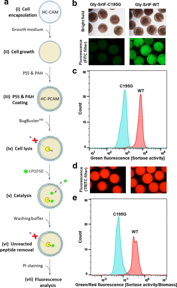 Fig. 4