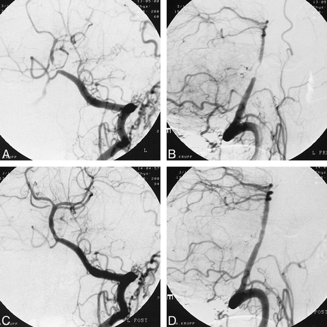 fig 1.