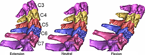 Fig. 1